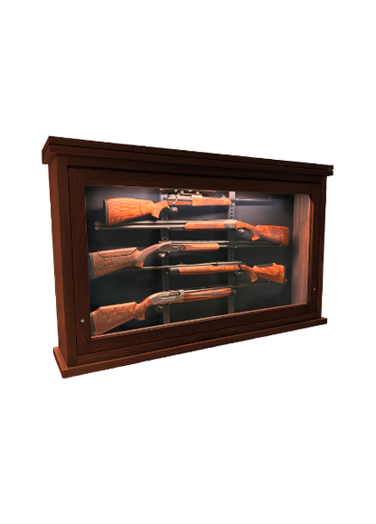 Cabinet à armes à feu