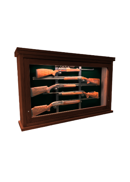 Cabinet à armes à feu